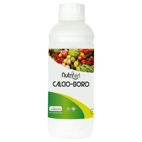 CALCIO BORO