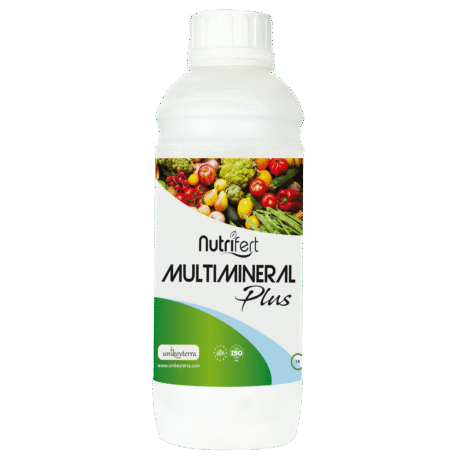 MULTIMINERAL PLUS