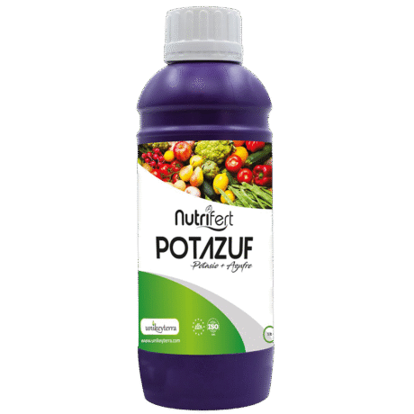 POTAZUF