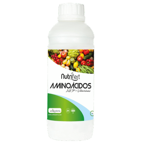 AMINOÁCIDOS
