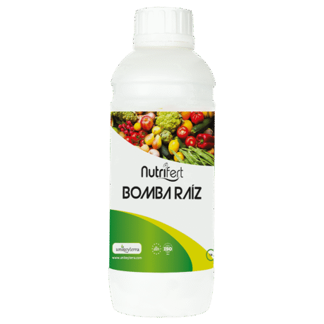 BOMBA RAIZ