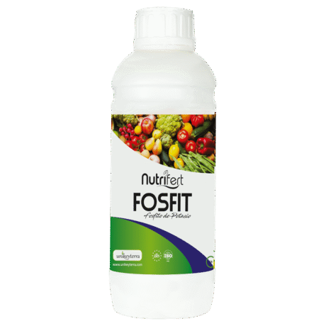 FOSFIT
