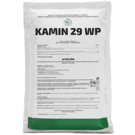 KAMIN 29 WP