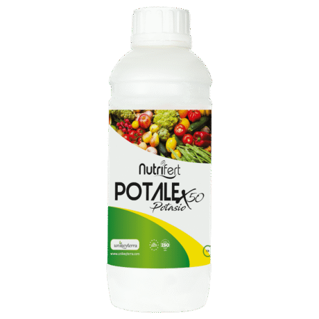 POTALEX 50
