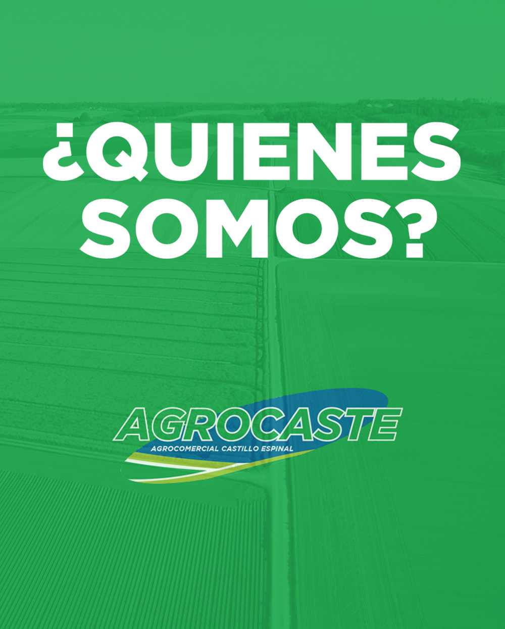 AGROCASTE%20S.R