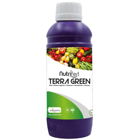 TERRA GREEN